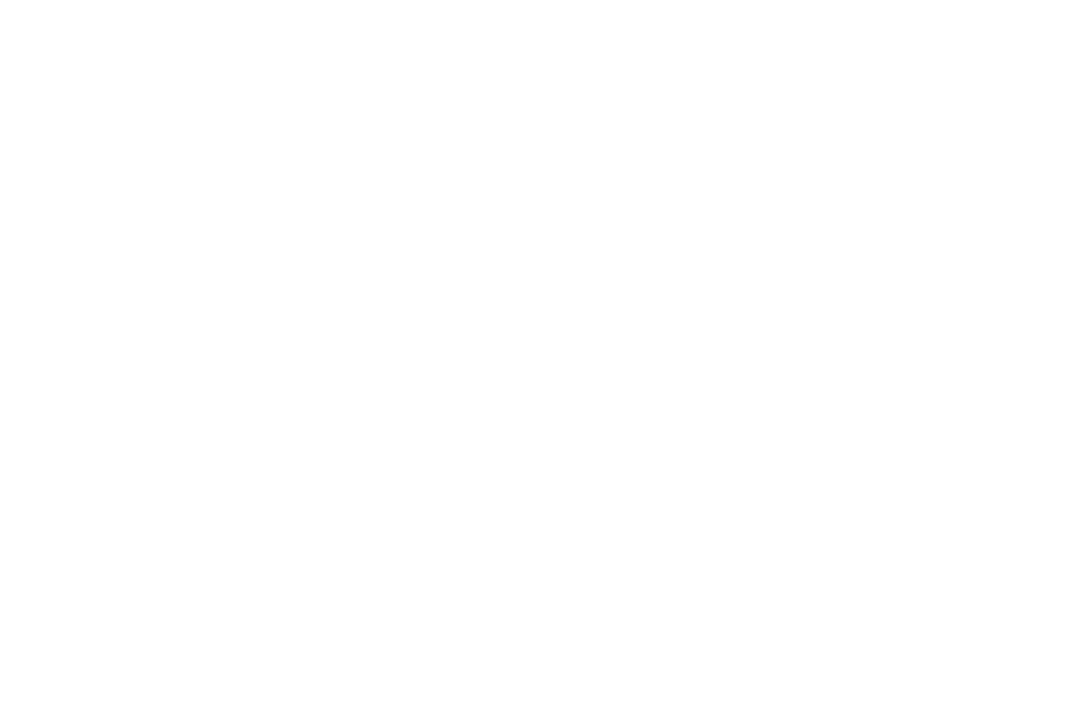 Village Fitness